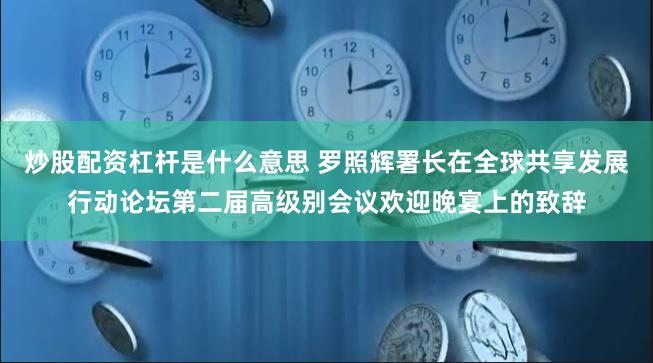 炒股配资杠杆是什么意思 罗照辉署长在全球共享发展行动论坛第二届高级别会议欢迎晚宴上的致辞