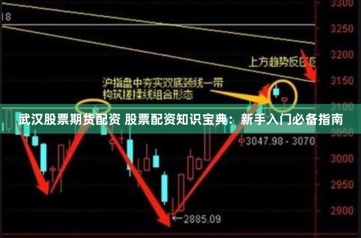 武汉股票期货配资 股票配资知识宝典：新手入门必备指南